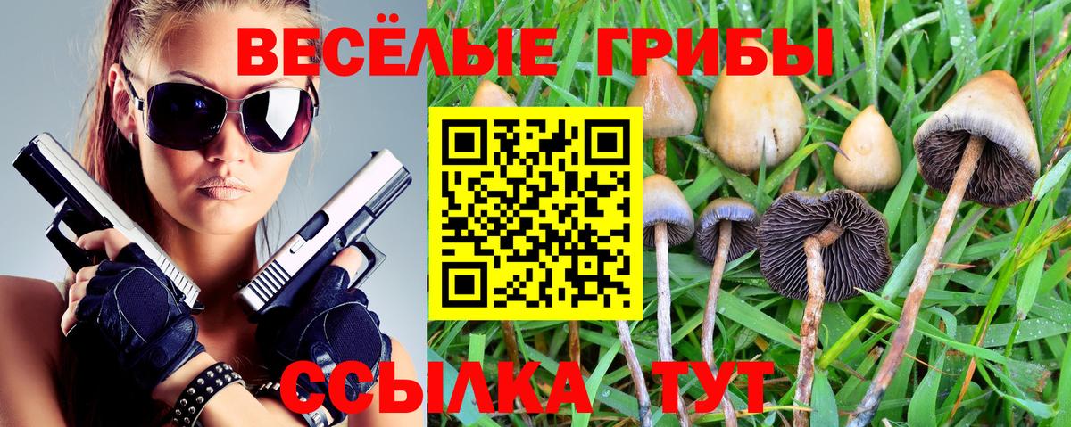 Избербаш  Псилоцибиновые грибы MAGIC MUSHROOMS  наркотики  Вход с VPN 